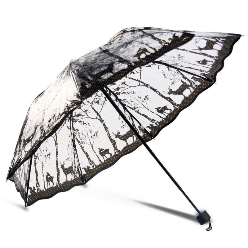 Transparent Umbrella