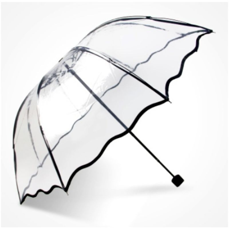 Transparent Umbrella