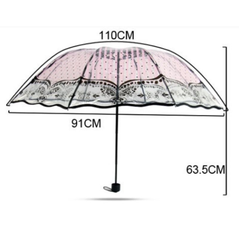 Transparent Umbrella