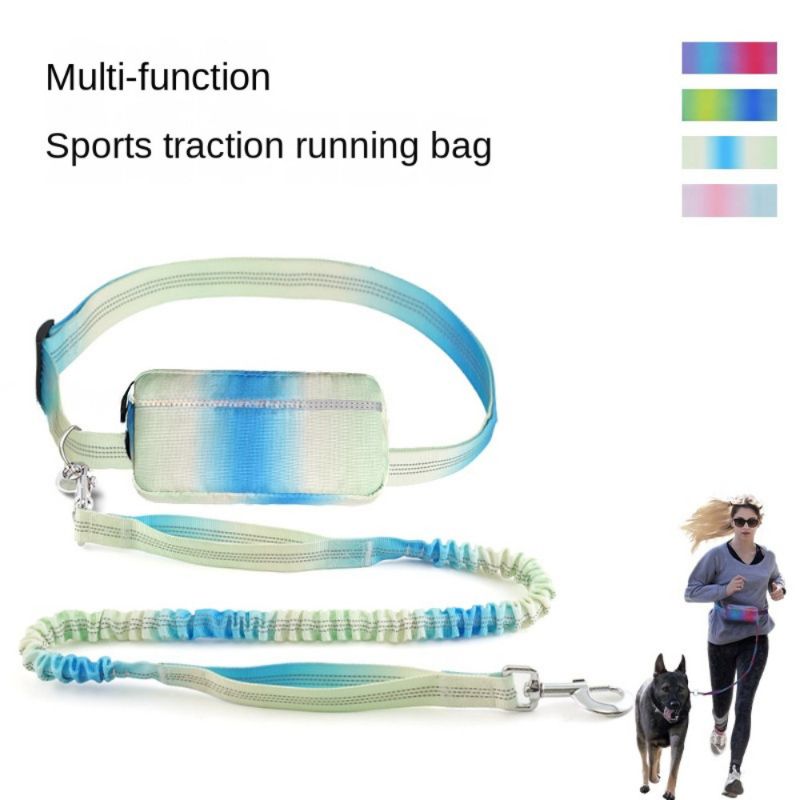 Hands-Free Dog Leash & Waist Bag